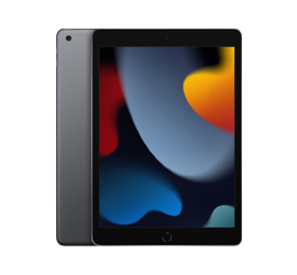 Apple iPad Wi-Fi 256 GB grau 