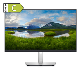 Dell Professional P2422H Monitor