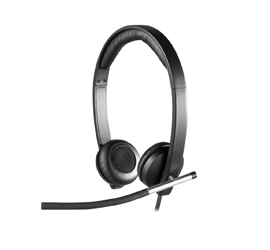 Logitech H650e Stereo USB Headset 