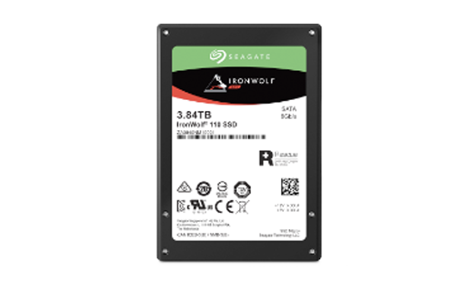  IronWolf® 110 SSD