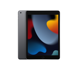 Apple iPad Wi-Fi 64 GB grau