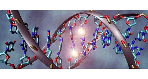 EZ DNA Methylation kit : efficacité de conversion au bisulfite > 99%. Plus rapide, moins de dégradation d’ADN et rendement élevé