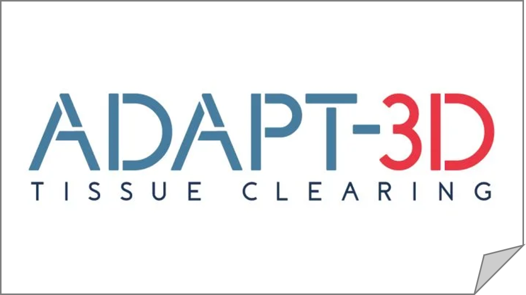 Kit de clarification de tissus et organes 3D 