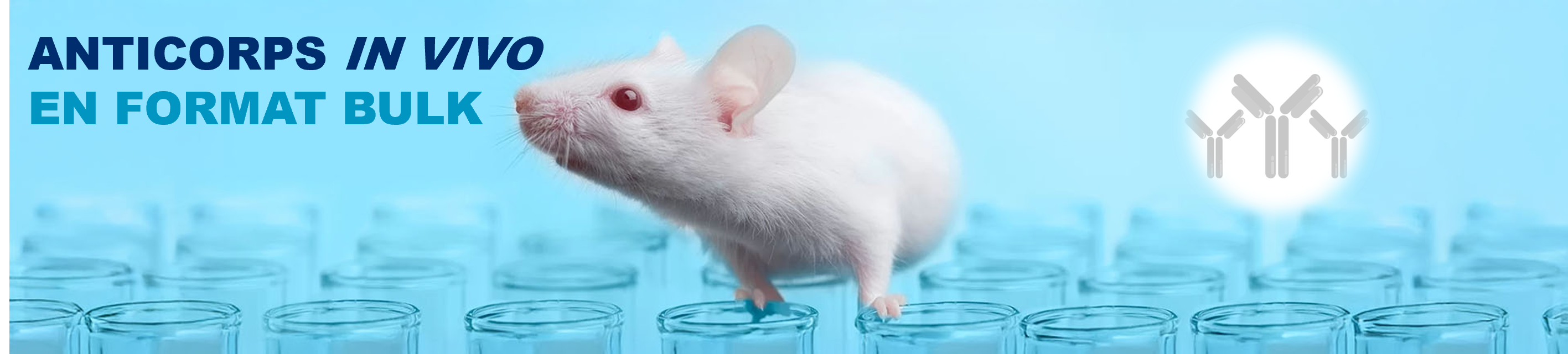 Anticorps In vivo sur mesure