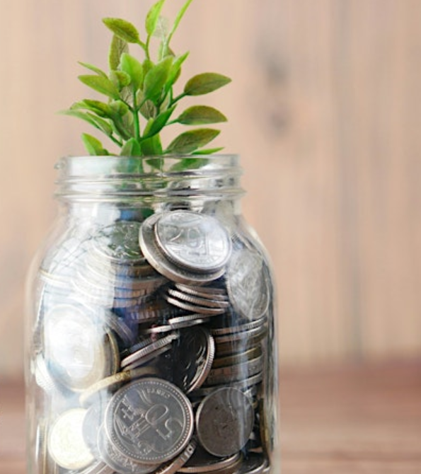 glass jar full of coins with seedling emerging 