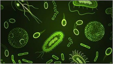 Toutes les solutions (réactifs) pour analyser le microbiome