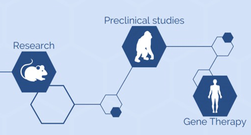 n vivo-jetPEI™ : transfection in vivo chez l'animal