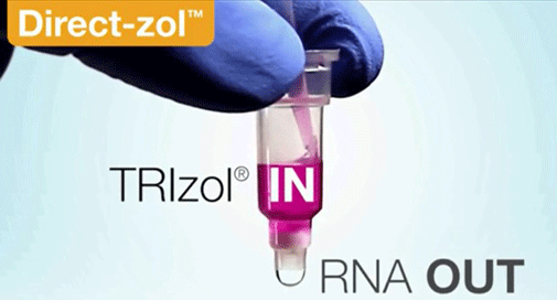 Direct-zol™ RNA Trizol Purification kits. Purification ARN / ADN ultra-purs