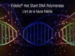 FIDELIO® Hot Start DNA polymerase – PCR haute-fidèlité