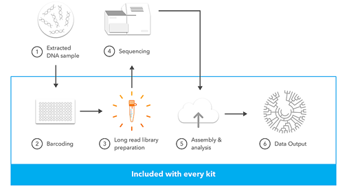 Kit LoopSeq Microbiome 16S - Séquençage des régions variables des gènes 16S et 18S
