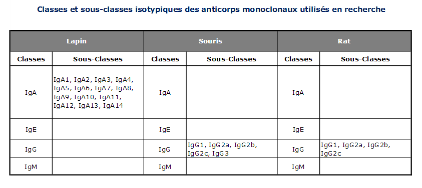 Classes et sous-classes des isotypiques des anticorps monoclonaux