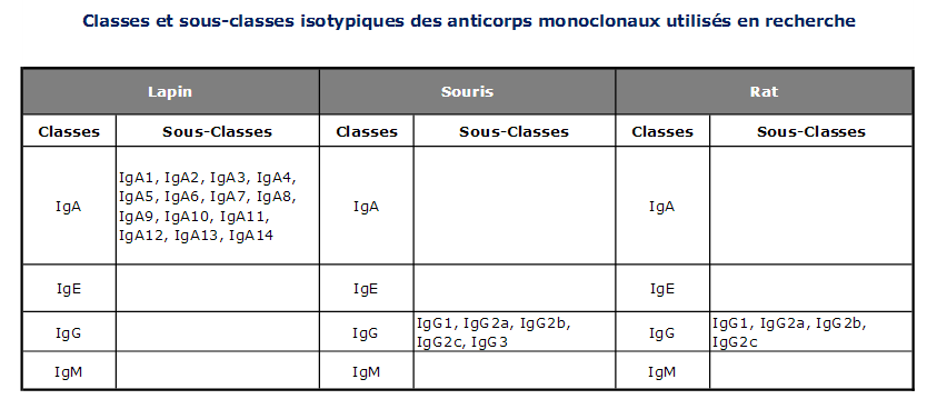 Classes et sous-classes d’immunoglobulines 