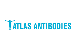 Logo Atlas Antibodies