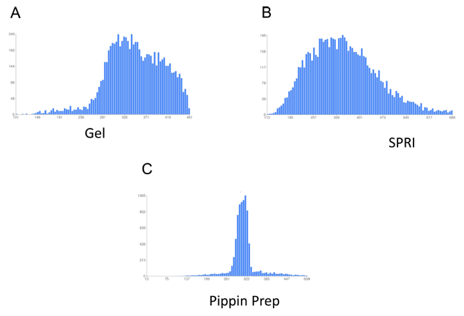 Distribution de fragments d'une banque d'ADN génomique obtenus avec le Pippin™ Prep