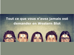 Question/réponse en western blot