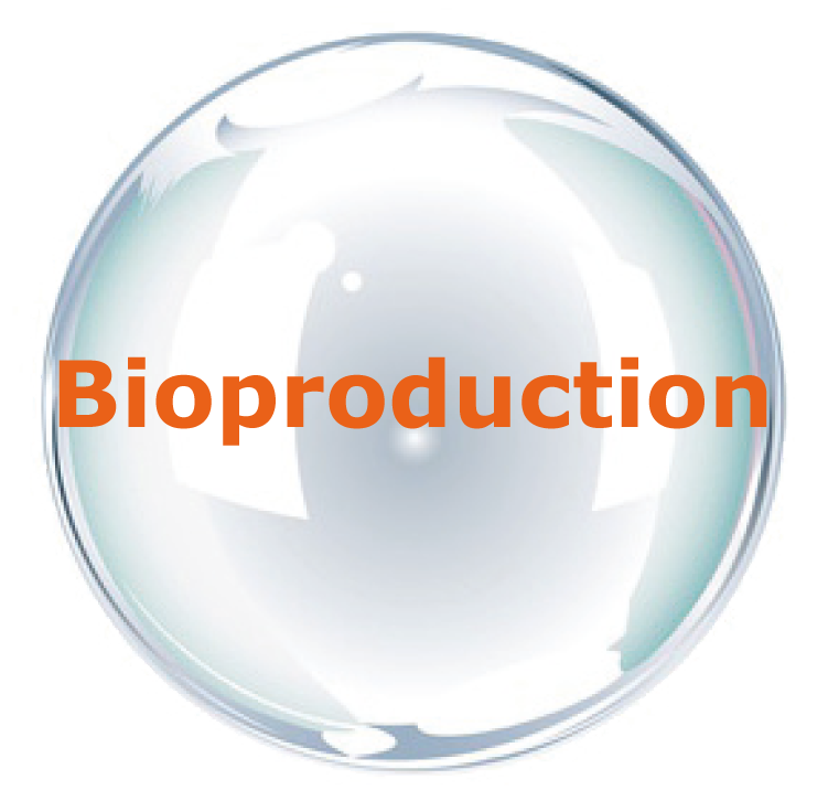 Bioproduction