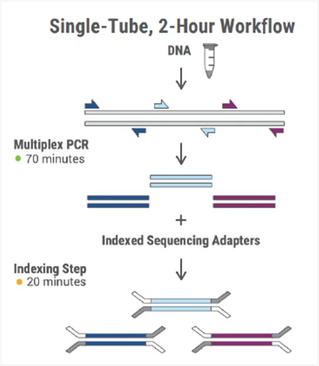 Séquençage de ACE2 avec ACE2 SWIFT NORMALASE® AMPLICON PANEL