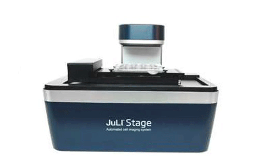 Juli Stage, imagerie de cellules vivantes