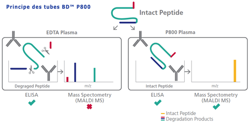 Tubes BD™ P800 : prélèvement, stabilisation peptides plasmatiques
