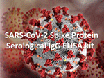 SARS-CoV-2 Spike Protein Serological IgG ELISA kit