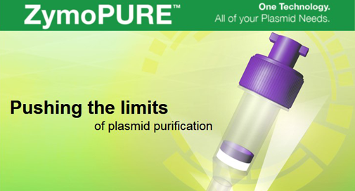ZymoPURE™ plasmid kits : Mini prep kit, midi prep, maxi prep, plasmids purification, ZymoPURE, endotoxine removal, endotoxine free