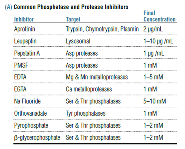 Inhibiteurs de phosphatases et de protéases