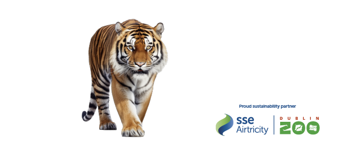 Power Your Memories at Dublin Zoo – 20% Off Day Tickets