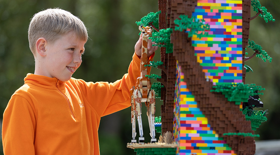 Exclusive Brick Workshop at Dublin Zoo