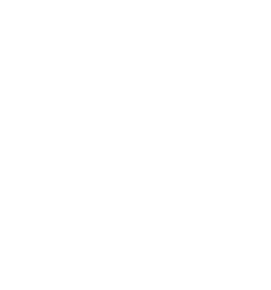 Twitter-icon